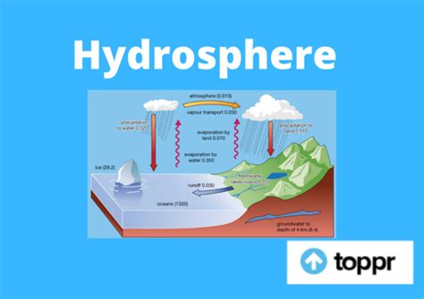 Image result for Hydrosphere Examples