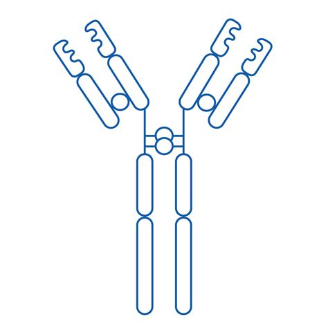 Immunology 的图像结果
