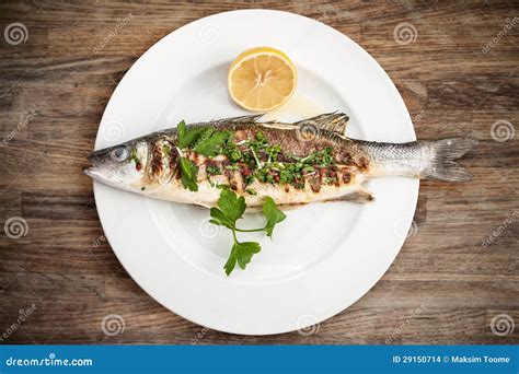 Grilled sea bass stock photo. Image of mediterranean - 29150714