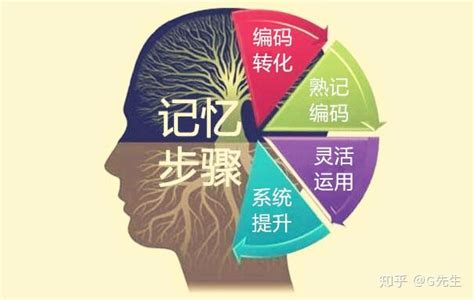 如何训练孩子的记忆力？8种方法拿走不谢 - 知乎