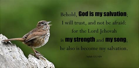 Image result for Isaiah Chapter 12 Song