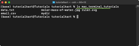 Image result for Mac OS Terminal LS