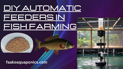 Automatic Fishing Farm 的图像结果