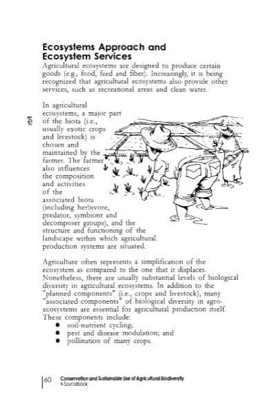 Image result for Primer Ecological Software Tutorial