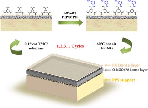 Interfacial Polymerization Process 的图像结果