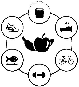 6th International Conference on Nutraceuticals and Chronic Diseases ...