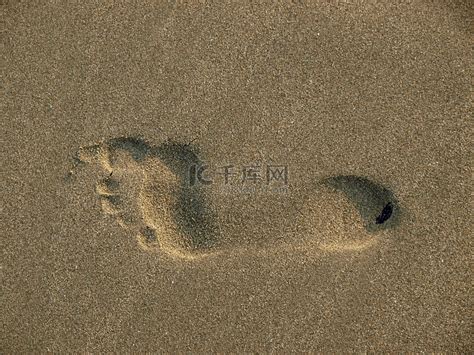鸟类脚步声沙中鸟海鸥足迹高清图片下载-正版图片307673592-摄图网