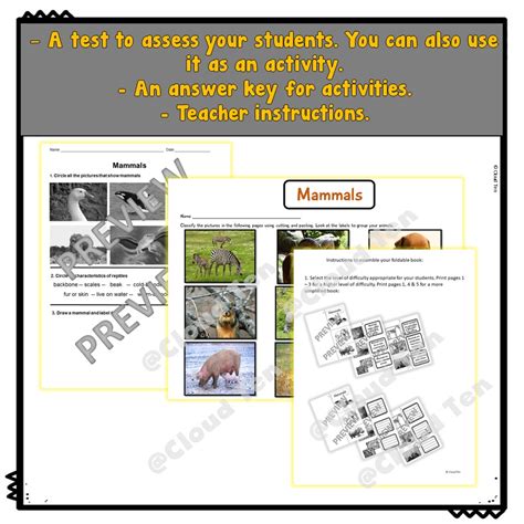 First Grade Science 的图像结果