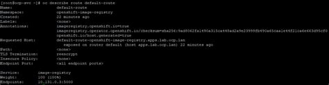Image result for OpenShift Route