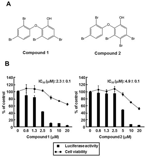 Identification of Antiviral Agents Targeting Hepatitis B Virus Promoter ...