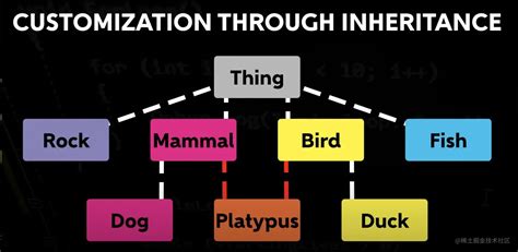 ECS Algorithm 的图像结果
