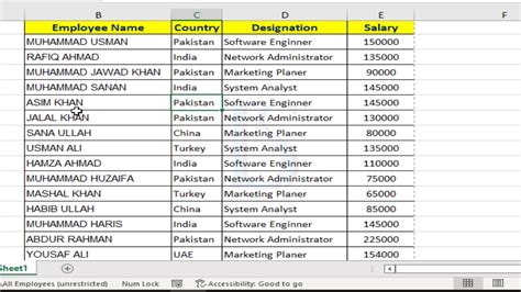 Excel Data Filter 的图像结果