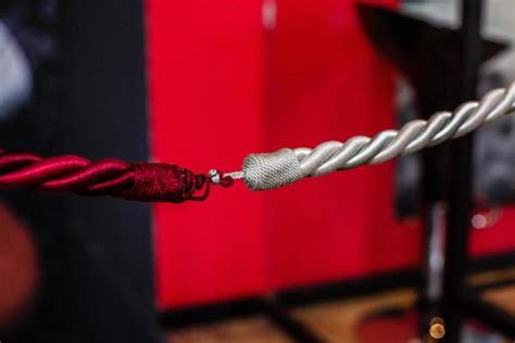Image result for LEGO VIP Rope Design