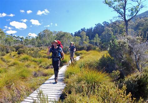 TASMANIAN EXPEDITIONS (2026) All You Need to Know BEFORE You Go (with ...