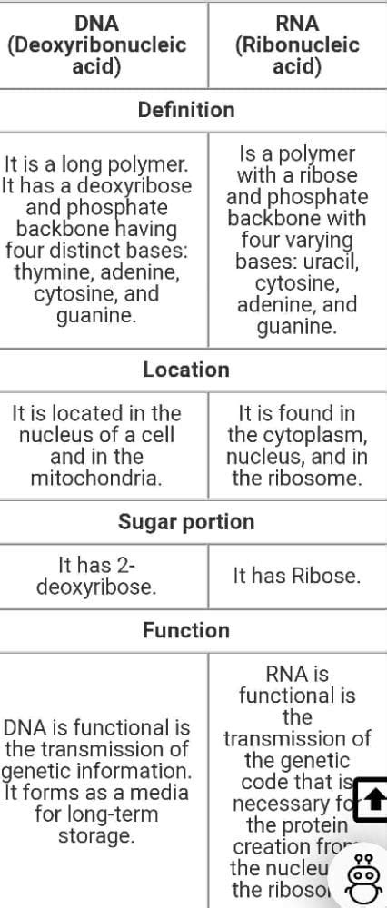 What is difference between dna and rna? - EduRev Class 10 Question
