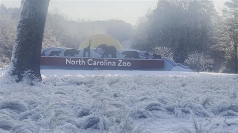 How much snow fell in North Carolina Monday night? | wfmynews2.com
