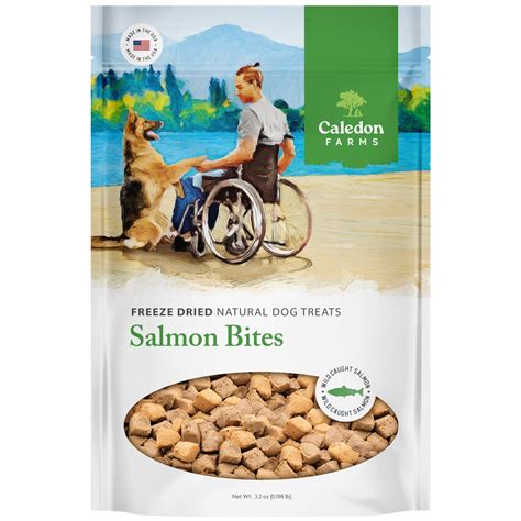 Freeze Dried Salmon Bites | Caledon Farms treats