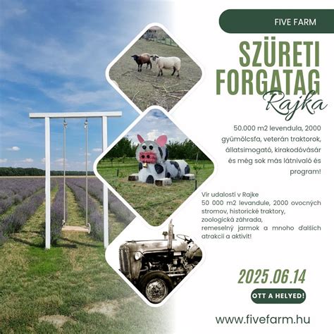 Levendula és Sárgabarack Szüreti Forgatag Rajkán, Dunacsúnyi út, Rajka ...