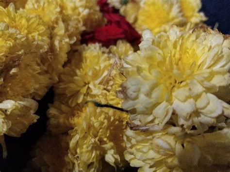 Alangudi Photos - Featured Images of Alangudi, Pudukkottai District ...