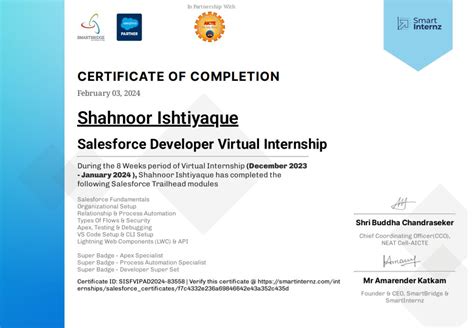 Image result for Salesforce Developer Certificate Sample