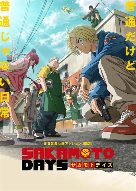 Star Wars Padme Amidala Black Corset Dress Cosplay Costume