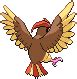 PokeRogue Dex: Pidgeotto