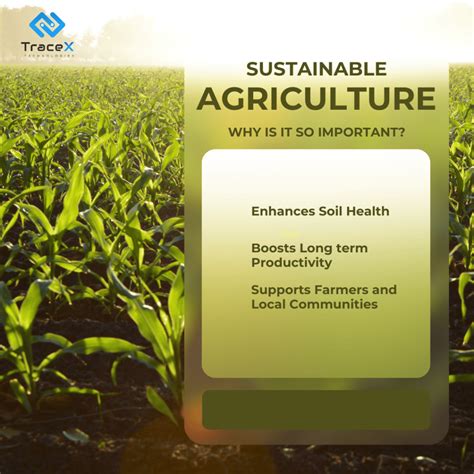 Agriculture Industry 的图像结果