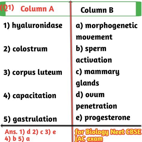 matching question examples in biology for class 12th exams - Biologysir
