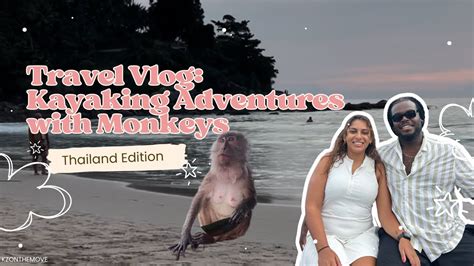 Image result for Monkey Blog