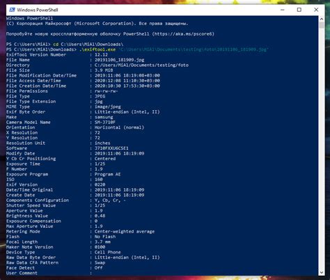 ExifTool Install 的图像结果