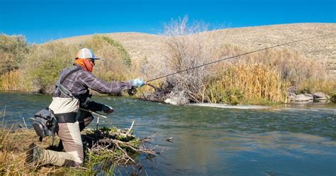 Arkansas Fishing License: Requirements, Fees & How to Get One in 2024 ...