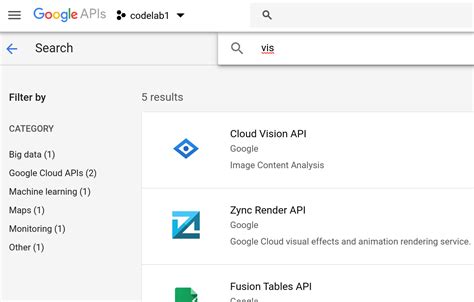 Image result for Python Google Vision
