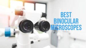 Image result for Microscope Reviews