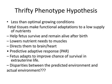 Who Life Course Approach 的图像结果