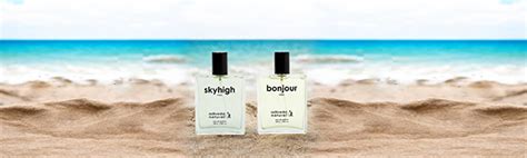 Buy Adiveda Natural Bonjour & Skyhigh Gift perfume Combo For Men Pack ...