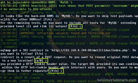 Sqlmap Tutorial Kali 的图像结果
