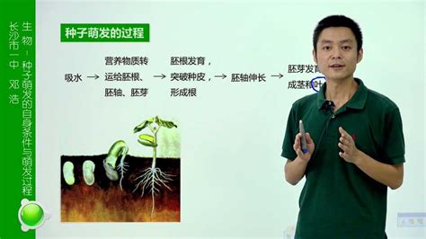 初一生物-种子萌发的自身条件与萌发过程-邓浩_腾讯视频