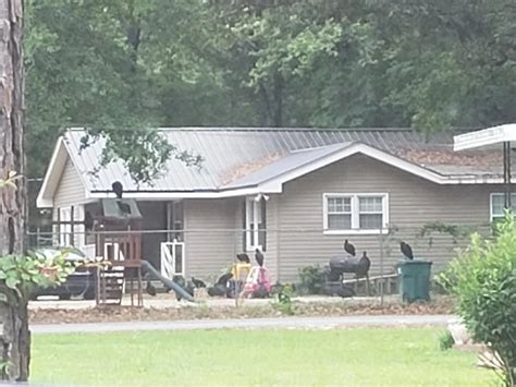 Image result for Utmost Terrifying