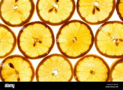 Image result for Lemon Slice Texture