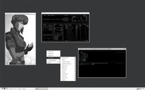Image result for IceWM Vs. Trinity Desktop