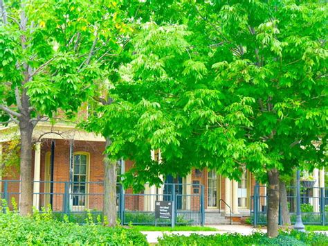 Hull House, chicago, United States Of America - Top Attractions, Things ...