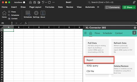 How to Export Salesforce to Excel 的图像结果