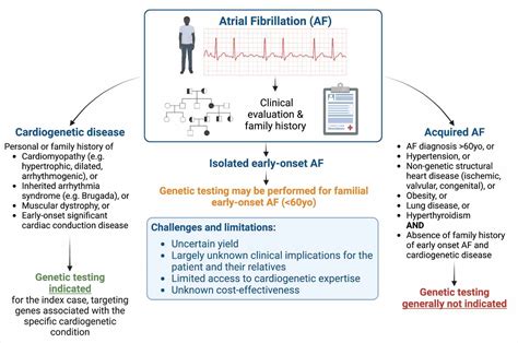 Genetic testing of atrial fibrillation patients can uncover potential ...