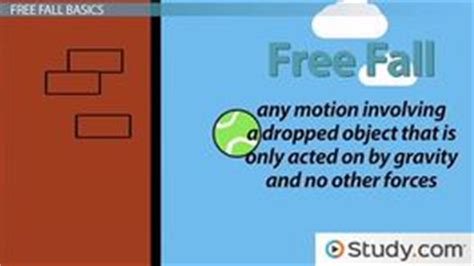 Image result for Free Fall Practice Problems