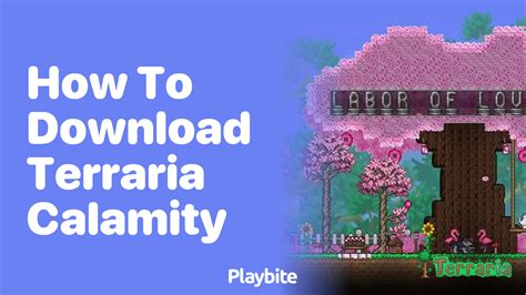 Image result for How to Install Calamity Mod Terraria