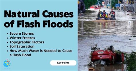 Information About Floods 的图像结果