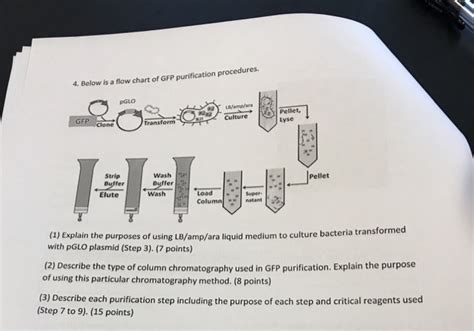 Image result for Purifying GFP Using Column Chromatography