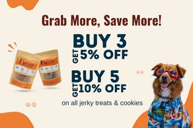 Skylish: Irresistible Dog Treats and Delightful Canine Cakes