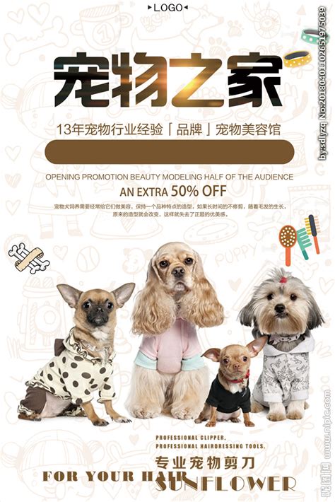 宠物之家促销海报广告图片下载设计图__广告设计_广告设计_设计图库_昵图网nipic.com