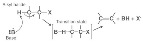 Elimination Reaction: E1 and E2 Reaction Mechanisms - JEE PDF Download